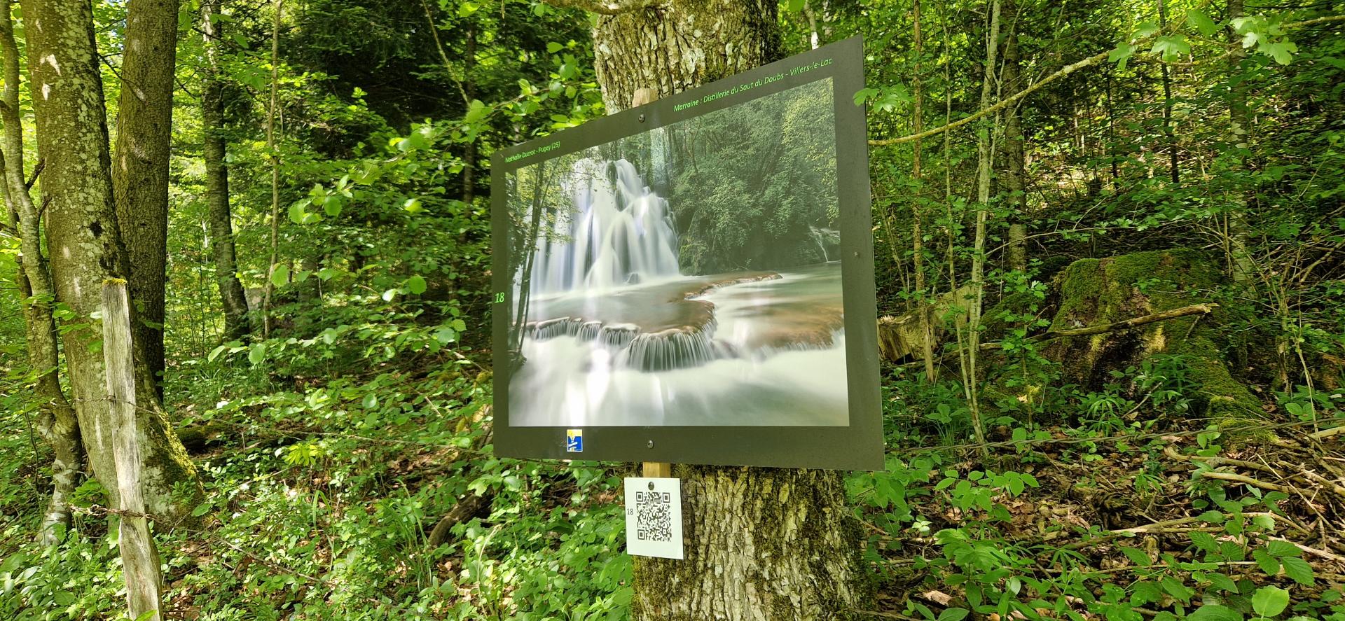 expo profondeur de champ