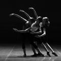Ballerinas 1376250 640