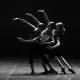 Ballerinas 1376250 640